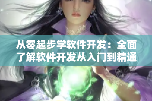 从零起步学软件开发：全面了解软件开发从入门到精通