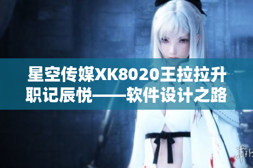 星空传媒XK8020王拉拉升职记辰悦——软件设计之路