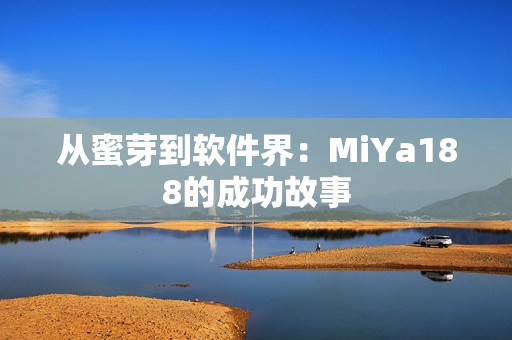 从蜜芽到软件界：MiYa188的成功故事