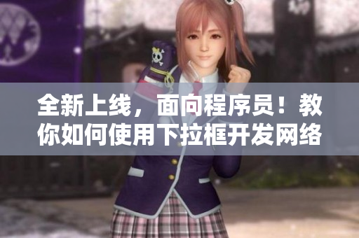 全新上线，面向程序员！教你如何使用下拉框开发网络软件！