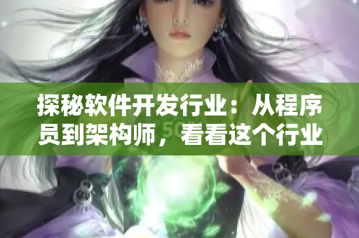 探秘软件开发行业：从程序员到架构师，看看这个行业的发展历程与未来前景！