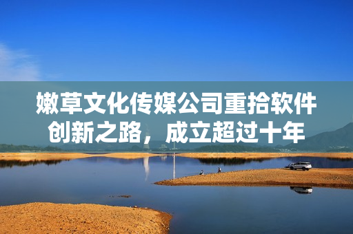 嫩草文化传媒公司重拾软件创新之路，成立超过十年