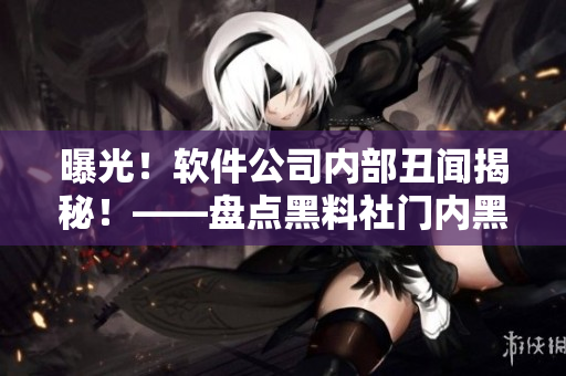 曝光！软件公司内部丑闻揭秘！——盘点黑料社门内黑幕