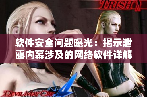 软件安全问题曝光：揭示泄露内幕涉及的网络软件详解