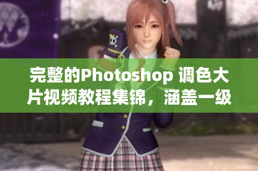 完整的Photoshop 调色大片视频教程集锦，涵盖一级到二级技法