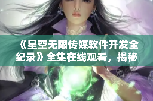 《星空无限传媒软件开发全纪录》全集在线观看，揭秘软件开发过程！