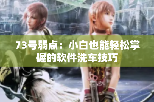 73号弱点：小白也能轻松掌握的软件洗车技巧