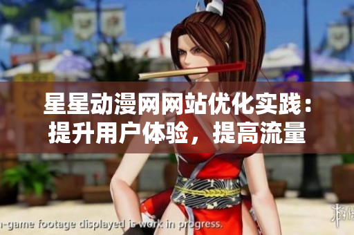星星动漫网网站优化实践：提升用户体验，提高流量
