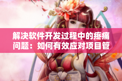 解决软件开发过程中的疼痛问题：如何有效应对项目管理挑战