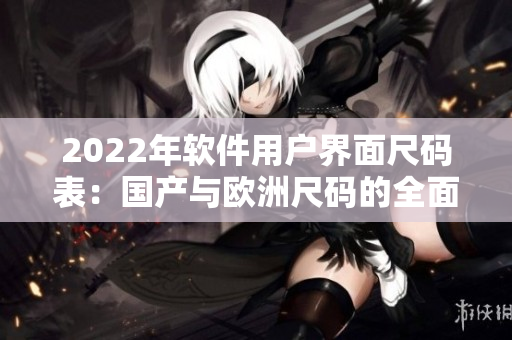 2022年软件用户界面尺码表：国产与欧洲尺码的全面对比