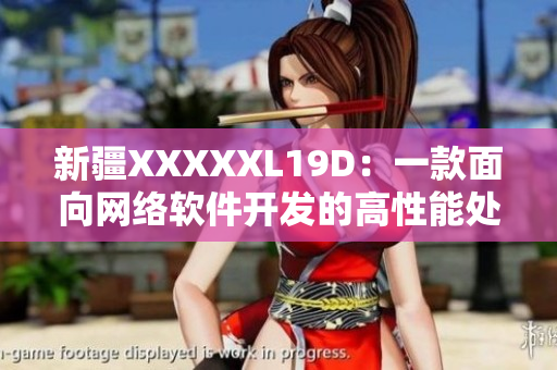 新疆XXXXXL19D：一款面向网络软件开发的高性能处理器