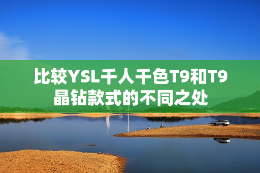 比较YSL千人千色T9和T9晶钻款式的不同之处