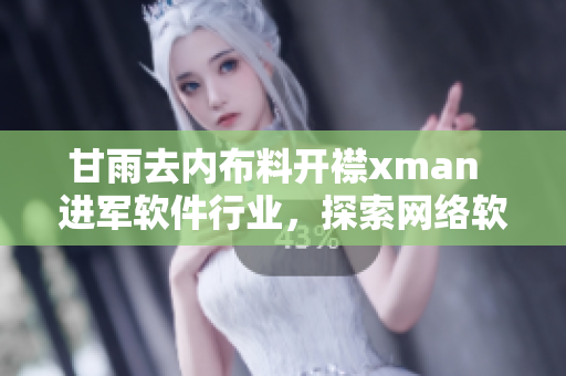 甘雨去内布料开襟xman  进军软件行业，探索网络软件开发技术