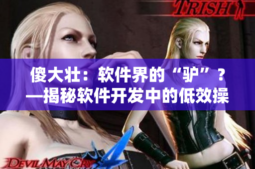 傻大壮：软件界的“驴”？—揭秘软件开发中的低效操作