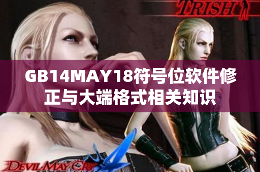 GB14MAY18符号位软件修正与大端格式相关知识
