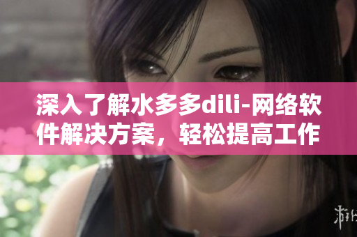 深入了解水多多dili-网络软件解决方案，轻松提高工作效率