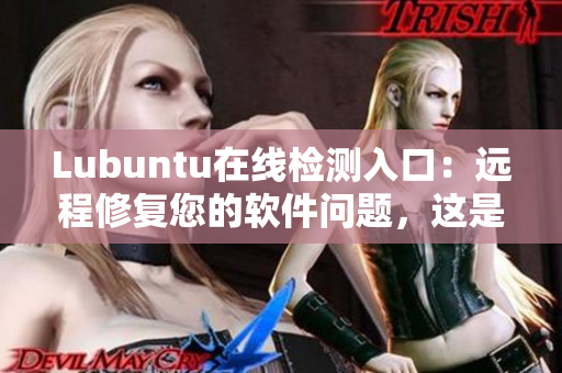Lubuntu在线检测入口：远程修复您的软件问题，这是怎么实现的？