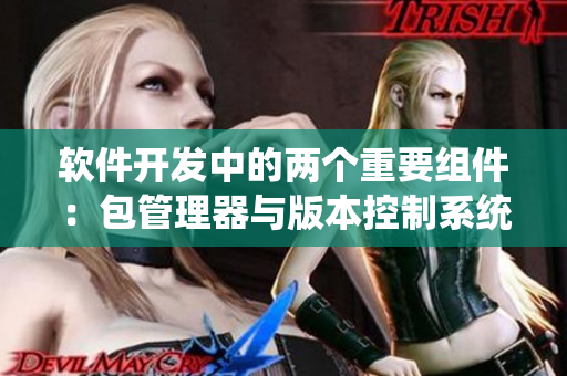 软件开发中的两个重要组件：包管理器与版本控制系统
