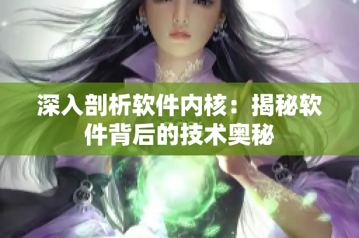 深入剖析软件内核：揭秘软件背后的技术奥秘