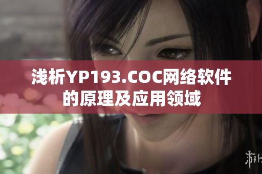 浅析YP193.COC网络软件的原理及应用领域