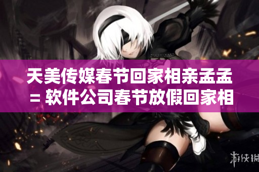 天美传媒春节回家相亲孟孟 = 软件公司春节放假回家相亲盛宴