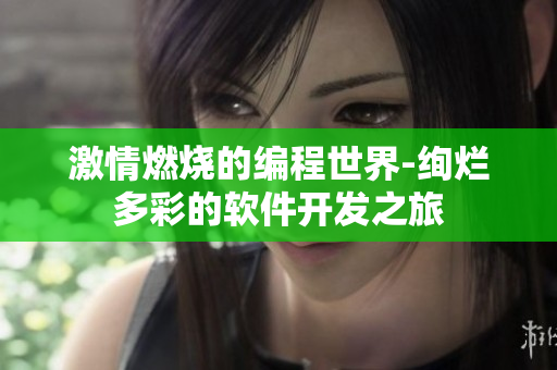 激情燃烧的编程世界-绚烂多彩的软件开发之旅