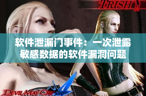 软件泄漏门事件：一次泄露敏感数据的软件漏洞问题