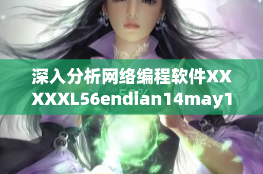 深入分析网络编程软件XXXXXL56endian14may18的设计与实现