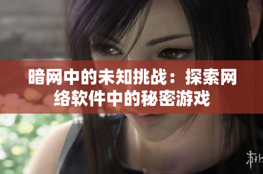 暗网中的未知挑战：探索网络软件中的秘密游戏