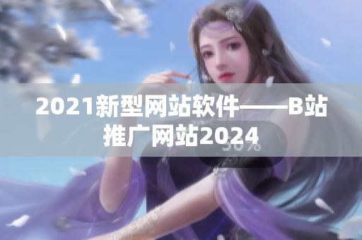 2021新型网站软件——B站推广网站2024