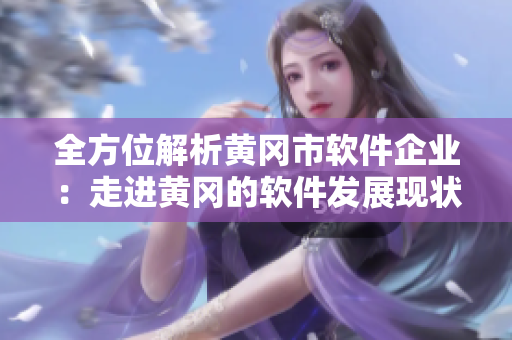 全方位解析黄冈市软件企业：走进黄冈的软件发展现状与前景分析