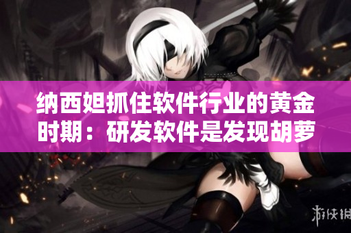 纳西妲抓住软件行业的黄金时期：研发软件是发现胡萝卜的秘籍