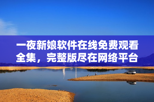 一夜新娘软件在线免费观看全集，完整版尽在网络平台