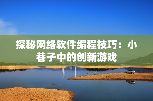 探秘网络软件编程技巧：小巷子中的创新游戏