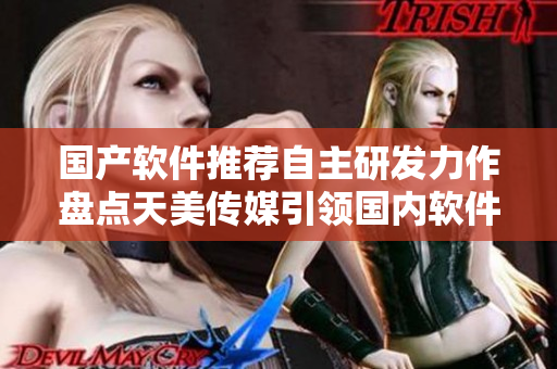 国产软件推荐自主研发力作盘点天美传媒引领国内软件领域