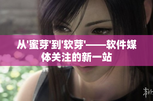从'蜜芽'到'软芽'——软件媒体关注的新一站