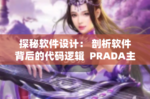 探秘软件设计： 剖析软件背后的代码逻辑  PRADA主题报道