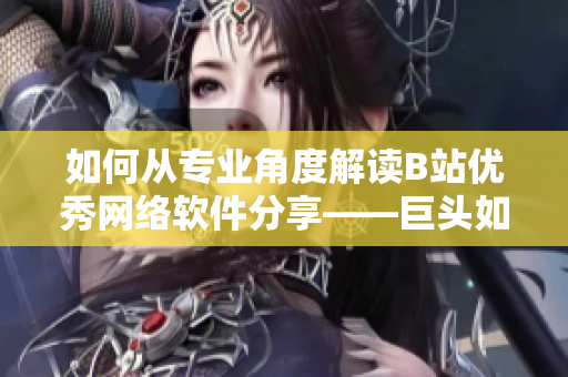 如何从专业角度解读B站优秀网络软件分享——巨头如何看待软件开发