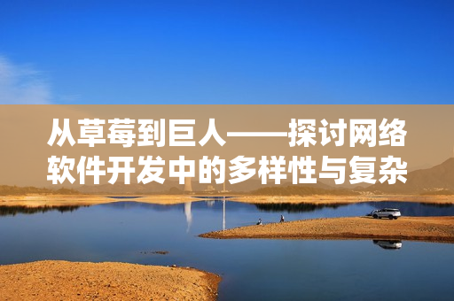 从草莓到巨人——探讨网络软件开发中的多样性与复杂性