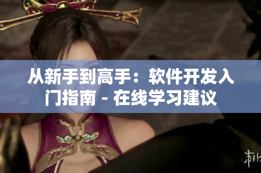 从新手到高手：软件开发入门指南 - 在线学习建议