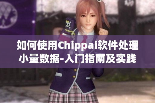 如何使用Chippai软件处理小量数据-入门指南及实践技巧