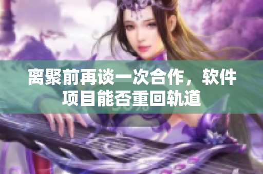 离聚前再谈一次合作，软件项目能否重回轨道