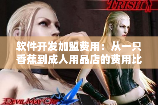 软件开发加盟费用：从一只香蕉到成人用品店的费用比较