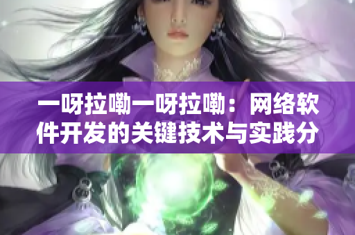 一呀拉嘞一呀拉嘞：网络软件开发的关键技术与实践分享