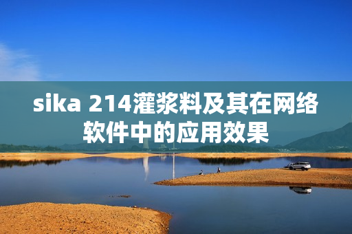 sika 214灌浆料及其在网络软件中的应用效果
