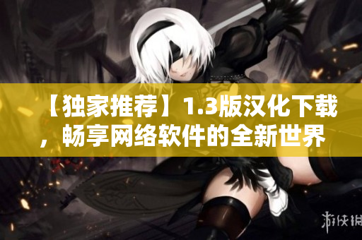 【独家推荐】1.3版汉化下载，畅享网络软件的全新世界！