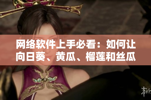 网络软件上手必看：如何让向日葵、黄瓜、榴莲和丝瓜和谐共存？