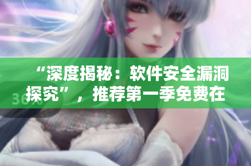 “深度揭秘：软件安全漏洞探究”，推荐第一季免费在线观看