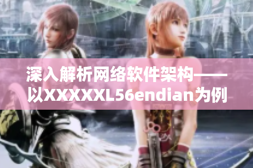 深入解析网络软件架构——以XXXXXL56endian为例