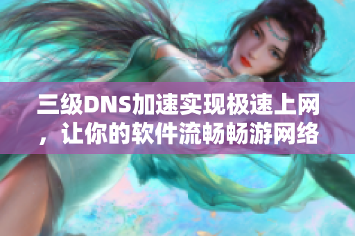 三级DNS加速实现极速上网，让你的软件流畅畅游网络世界
